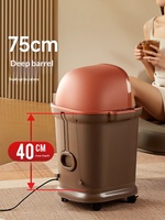 Bain de pieds massant multifonctionnel à température contrôlée DEBEI ZY-808 avec fonction musicale, électrique filaire, 4,6 kg, pour massage des pieds