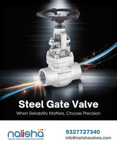 Vanne à opercule en acier fabriquée en Inde - Product Image 1