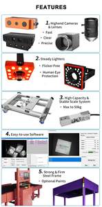 <span class=keywords><strong>Prix</strong></span> usine Intelligent Balayage Optique Colis Logistique Trieur Entrepôt Statique Dws Système Dimension Poids Scanner Machine - Product Image 6