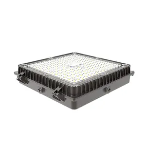 Commerical Led Canopy Lights Wholesale 50W 100W 5000K Daylight Exterior Led Canopy Lighting For Outdoor Parking Garage