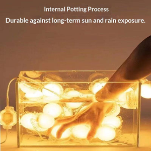 Großhandel Direktvertrieb Neue Externe Steuerung PC-Maske 3W Einfarbige 12V/24V LED-Punktlichtquelle - Product Image 3