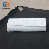 Filet de drainage composite géotextile 3D en plastique HDPE pour l'utilisation dans les tunnels de drainage et les barrages