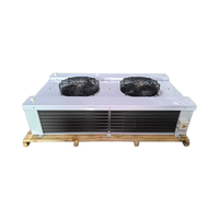 Fabrieksleverancier Dubbelzijdige Blaas Commerciële Lados Del Aire Evaporador Bilaterale Luchtkoelventilator Verdamper