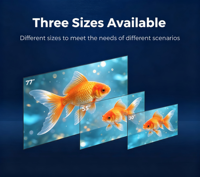 Pantalla Digital OLED Transparente Ultrafina de 55 Pulgadas con Soporte para Centros Comerciales, Educación, Animación, Gráficos, Full HD