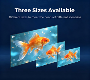 Pantalla Digital OLED <span class=keywords><strong>Transparente</strong></span> Ultrafina de 55 Pulgadas con Animación y Gráficos, Full HD 1920x1080, Brillo de 450 cd - Product Image 2