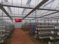 Film agricole intelligent Serre avec système hydroponique de légumes