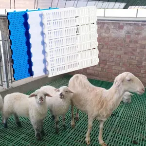 700*600mm Plastic Interlocking Floor Poultry Farms Rubber Animal goat slatted flooring for Farm Equipment