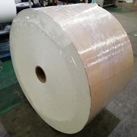 Rouleaux de papier kraft pour tableaux blancs, personnalisés, duplex C1S GC1 FBB, fond gris, papier couché PE pour gobelets, bols et boîtes à emporter
