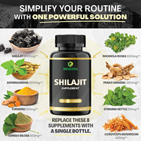 Complément Antioxydant Shilajit pour Adultes OEM - 60 Comprimés - Mélange Naturel Tout-en-un Ultime Synergie Naturelle Ashwagandha Rhodiola Rosea pour