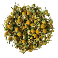 OEM ODM Tisane de Camomille GMP Halal 20 Sachets 30g Sans Caféine Infusion Chaude ou Froide