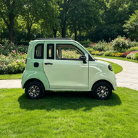 Véhicule électrique compact L6e pour les marchés des permis de conduire des adolescents, micro-voiture urbaine 2 portes 2 places avec caméra de recul et feux LED