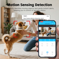 Cámara de Seguridad Inalámbrica Wi-Fi B01 HD 1080p 1-5MP de Bajo Consumo para el Hogar, Visión Nocturna, Almacenamiento en la Nube, Batería de Gran Capacidad, Tarjeta TF - Vista de Águila