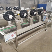 Fabrieks prijs volautomatische bananenpoeder productielijn, plantainpoeder molen en mixer