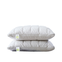 Coussin en duvet d'oie 95% de garnissage certifié RDS Oeko-Tex, style européen, luxe, respirant, soutien optimal, prix usine, hôtel