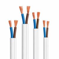 Kabel Listrik Rumah Tangga 2 Inti 18 20 22 24 26 AWG Konduktor Tembaga Multi Inti Fleksibel Kabel Penghubung Listrik