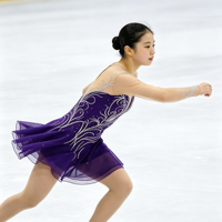 Robe de patinage artistique pour enfants et adultes, violet foncé, tissu en maille, manches longues, strass, jupe en tulle fluide pour la compétition et la performance