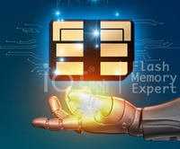 NM-lector de tarjetas de memoria OTG 2 en 1 NM y TF, nano tipo C