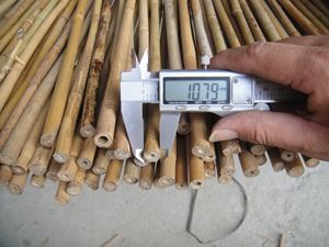 Materiali Grezzi in Legno Naturale e Prodotti in Bambù all'Ingrosso |   Forniture Agricole Premium - Product Image 2