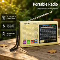Kundenspezifisches OEM Privat-Design ABS Tragbares AM FM SW Multiband USB TF MP3-Player mit Taschenlampe BT Outdoor Notfall-Aufladbarradio