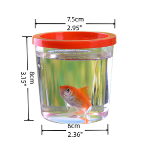 Bol de <span class=keywords><strong>poisson</strong></span> rouge en plastique portable <span class=keywords><strong>fermé</strong></span> avec corde tasse de <span class=keywords><strong>poisson</strong></span> Betta petite boîte de rangement de tortue de <span class=keywords><strong>poisson</strong></span> rouge avec couvercle - Product Image 2