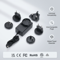 Chargeur mural AC/DC certifié UL CE 36W avec prises interchangeables 5-36V 0,01-4A, efficacité de niveau VI pour le marché mondial