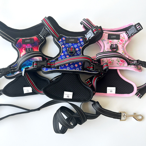Penjualan langsung dari pabrik Logo kustom dapat diatur antilembap tahan lama tali anjing poliester untuk anjing besar dipersonalisasi tanpa tali tarik - Product Image 6