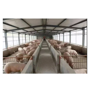 近代農業向け信頼性の高い鉄骨構造の豚舎、分娩豚房、子豚小屋 - Product Image 1