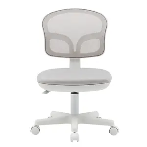 简单豪华办公家用软椅符合人体工程学的带轮子的低背网状电脑椅