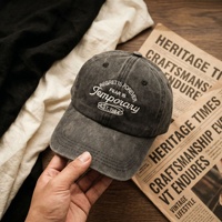 Nouvelle Casquette de Baseball Unisexe 100% Coton à 6 Panneaux, Style Vintage Délavé, Broderie Tendance, Chapeau de Soleil Printemps-Automne