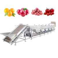 500Kg 380V Fruit & Groente Sorteermachine Voor Landbouwbedrijven 304 Roestvrijstalen Zilveren Grotere Houten Kist