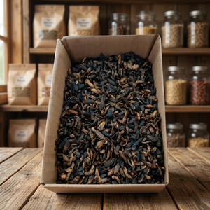 Larvas Secas de Mosca Soldado Negra, Origen Vietnam, Sin Aditivos, Estándar de Exportación, Vida Útil de 24 Meses, Alimento para Aves, Peces y Aves de Corral - Product Image 6