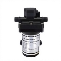 Pompa Air Mambaflo Seri 42 12V DC 18.9LPM/5GPM Tekanan Tinggi Laris Manis Buatan Cina 55PSI/3.8BAR Pompa Otomatis Rendah Kebisingan