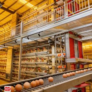 Fast Delivery Smooth Operation Battery Chicken <strong>Cage</strong> System <strong>Second</strong> <strong>Hand</strong> Chicken <strong>Cage</strong> Chicken <strong>Transport</strong> <strong>Cage</strong> - Product Image 1