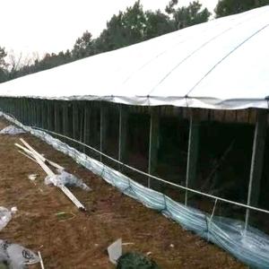 <span class=keywords><strong>Film</strong></span> plastique agricole biodégradable 60FT pour ensilage / <span class=keywords><strong>Film</strong></span> PE souple noir et blanc pour <span class=keywords><strong>silo</strong></span>, contrôle des mauvaises herbes, <span class=keywords><strong>film</strong></span> noir et blanc - Product Image 6
