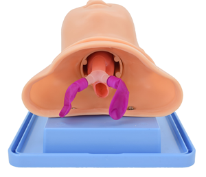 新生児抜管トレーニングモデル経口および鼻挿管幼児看護幼児人体解剖学モデル医学 - Product Image 3