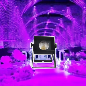 Wholesale Stage PAR <b>Lights</b> LED 60w Warm White and Cold White 3IN1 Events Wedding Club Led Par Can <b>Light</b> - Product Image 1