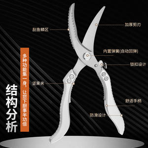 กรรไกรตัดกระดูกไก่สแตนเลสสำหรับครัว ทนทาน ใช้งานได้หลากหลาย สำหรับเนื้อสัตว์ ปลา อาหารทะเล บาร์บีคิว - Product Image 5