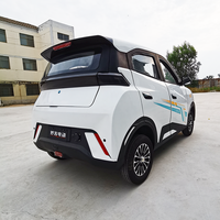 Grand écran multifonctionnel intérieur de luxe populaire de la voiture électrique adulte 60V