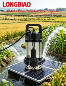 <span class=keywords><strong>Pompe</strong></span> à eau solaire flottante portable SPV 250W-1000W, auto-amorçante hors réseau pour le transfert d'eau de lac et l'arrosage de jardin - Product Image 5