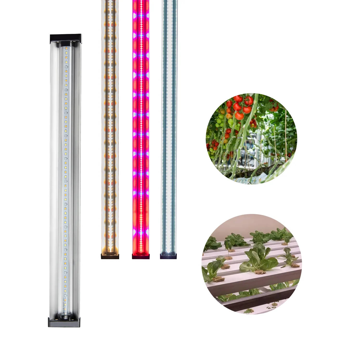 super indoor greenhouse full spectrum vertical farming aquaponics hydroponic growing systems led grow lights