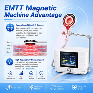 Dispositivo de Terapia Magnética PEMF 2 en 1 MBS, Dispositivo PEMF para la Recuperación de Lesiones en Humanos y Caballos, Curación de Heridas - Product Image 4