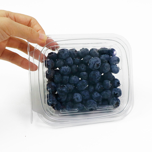 Dùng một lần vật nuôi Làm xáo trộn kháng bản lề Deli container thực phẩm làm xáo trộn rõ ràng container cho sản xuất, trái cây tươi đóng gói - Product Image 6