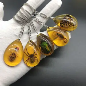 Vero insetto campione ambra portachiavi ciondolo gioielli regalo, coccinella farfalla Scarab scorpione resina charms portachiavi regalo souvenir