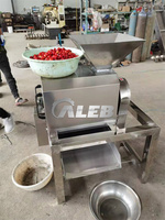 Fruit En Groenten Citroen Mango Appel Tomaat Ananassap Breisel Schroef Extractor Sapmachine