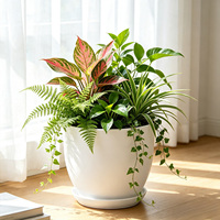 Ensemble de pots de fleurs en plastique durable avec trou de drainage, design minimaliste pour une utilisation intérieure/extérieure, décoration pour la maison, le jardin, le bureau, l'hôtel
