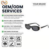 Lunettes de soleil œil de chat TWOOO T1922 personnalisées avec logo OEM ODM pour femmes, protection UV400, mode, conduite, extérieur, vente en gros directe d'usine, promotion exceptionnelle