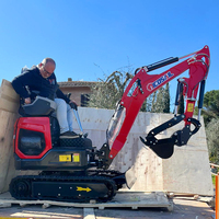 Mini-excavatrices à chenilles EURO 5, très demandées, avec moteur CE EPA, pour usage domestique et agricole, capacités 1T, 2T, 2.5T, 3T