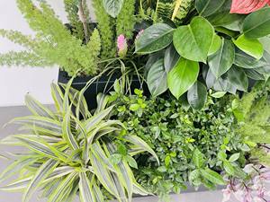 <span class=keywords><strong>Jardinière</strong></span> surélevée décorative en alliage d'aluminium pour l'extérieur, bac à plantes pour légumes, taille personnalisable - Product Image 3