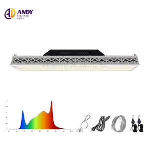 Nổ mìn phương tiện truyền thông tùy chỉnh 600W quang phổ đầy đủ dẫn ánh sáng tăng trưởng OEM nhà máy bán buôn xingong Thương Hiệu Bảo hành 3 năm - Product Image 3