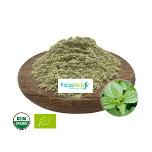 Focusherb USA kho tại Chỗ <span class=keywords><strong>B</strong></span>án Hot NOP & EU hữu cơ cây tầm ma <span class=keywords><strong>B</strong></span>ột lá - Product Image 1